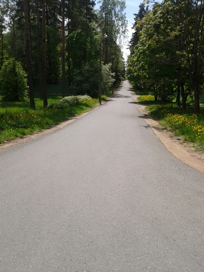 Другое: Пейзажы