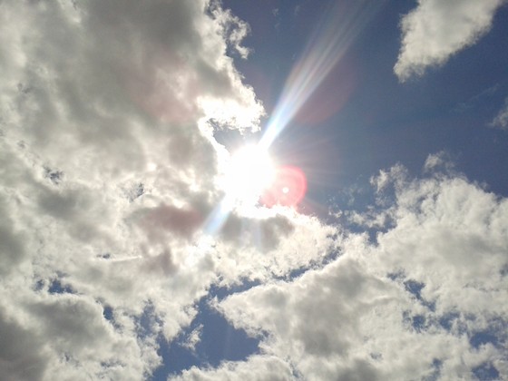 Другое: Пейзажы