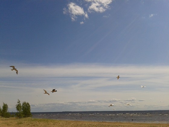 Другое: Пейзажы